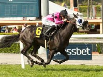 Preview: 2018 Turf Classic Stakes Image 1