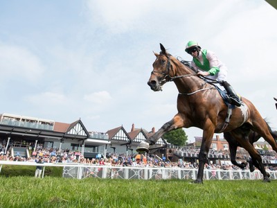 Preview: 2018 Turf Classic Stakes Image 2