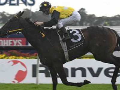 Preview: 2018 Doomben 10,000 Image 2