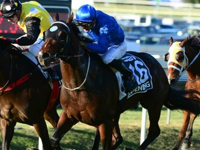 Preview: 2018 Doomben 10,000 Image 3