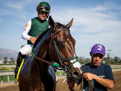 Bolt d’Oro Under Consideration For Preakness Stakes 2018 Image 1