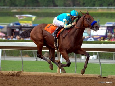 American Pharoah Filly Leslies Lady Delivers Image 3