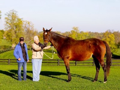 American Pharoah Filly Leslies Lady Delivers Image 2