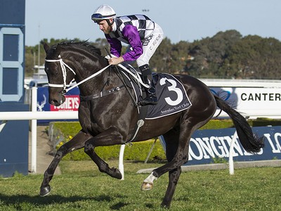 Australian Runner Bound for Saratoga Image 1