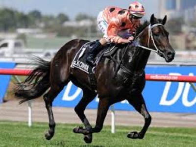 Winx worlds best matches Black Caviar Image 2