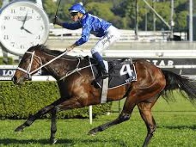 Winx worlds best matches Black Caviar Image 1