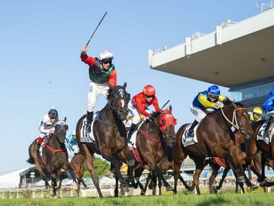 Review: Doomben 10,000 Image 1