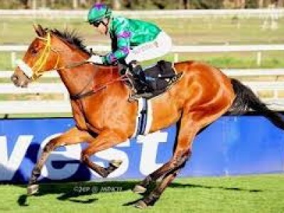 Wilgerbosdrift Sa Oaks Gr.2 Image 1