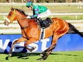 Wilgerbosdrift Sa Oaks Gr.2