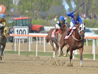 Ecton Blade Win The 2018 Korean Derby Image 2