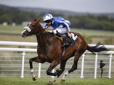 Preview: Gr.1 Lockinge Stakes Image 2