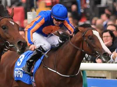 Preview: Gr.1 Lockinge Stakes Image 1