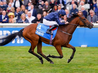 Preview: Gr.1 Lockinge Stakes Image 4