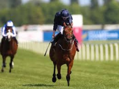 Review: Gr.1 Lockinge Stakes Image 1