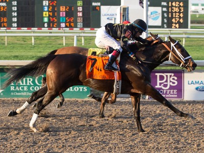 Review: Preakness Stakes 2018 Image 5