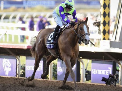 Review: Preakness Stakes 2018 Image 3