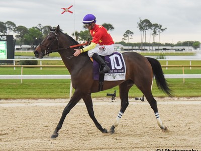 Review: Preakness Stakes 2018 Image 4