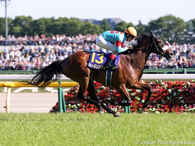 Review: Gr.1 Yushun Himba Japanese Oaks Image 1