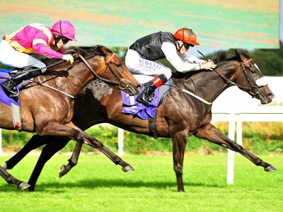 Preview: Irish 1,000 Guineas Image 4