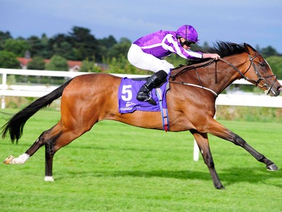 Preview: Irish 1,000 Guineas Image 3