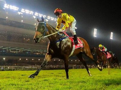 Review: Kranji Mile Day (2018) Image 1