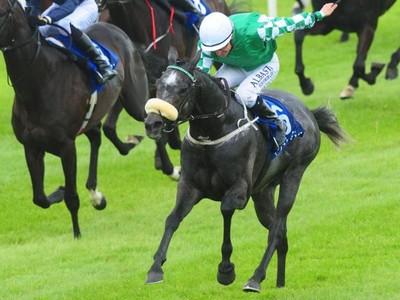 Review: Irish 1,000 Guineas Image 2