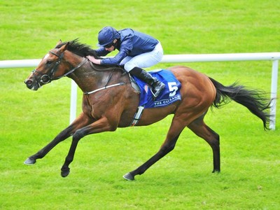 Review: Irish 2,000 Guineas Image 2