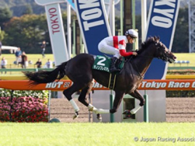 Preview: Gr.1 Tokyo Yushun Japanese Derby Image 1