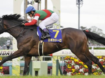 Preview: Gr.1 Tokyo Yushun Japanese Derby Image 3