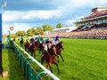 Prix de l'Arc de Triomphe 2018 Entries