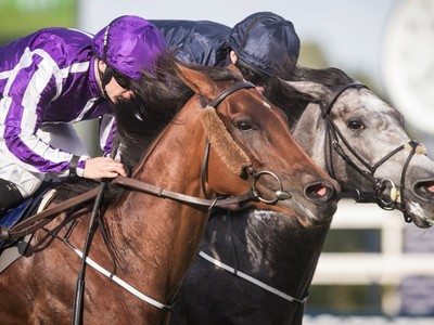 Preview:Tattersalls Gold Cup 2018 Image 1