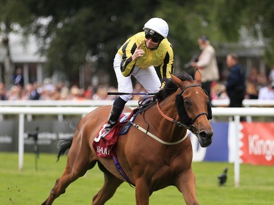 Popular Big Orange Will Sit The Season Out Image 2