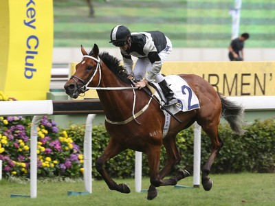 Cruz hoping for stable trifecta in Champions &amp; Chater Cup Image 2