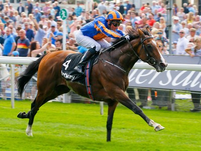 Preview: Gr.1 Coronation Cup Image 4