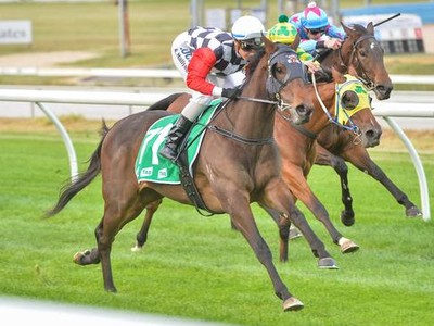 Preview: Gr.1 Queensland Oaks Image 2