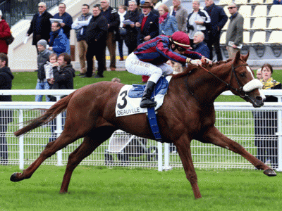 Preview :Gr.1 Prix du Jockey Club Image 4