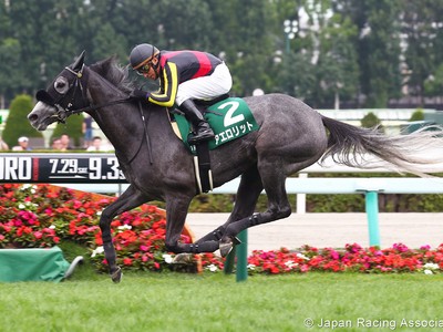 Preview :Gr.1 Yasuda Kinen Image 1