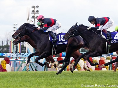 Preview :Gr.1 Yasuda Kinen Image 3