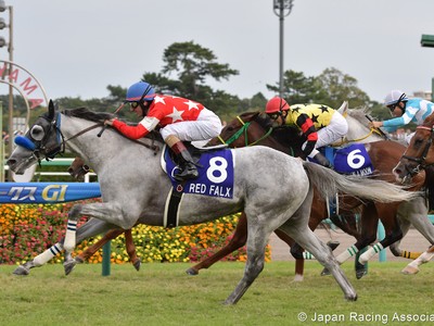 Preview :Gr.1 Yasuda Kinen Image 7