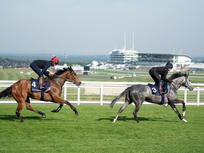 Preview: Epsom Oaks 2018 Image 4