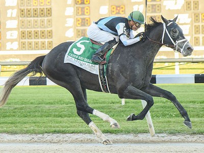 Tapwrit Returns To The Belmont Stakes' Racecourse Once Again Image 1