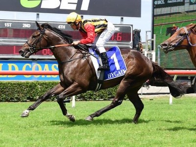 Preview: Gr.1 Stradbroke Handicap Image 6