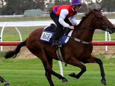 Preview: Gr.1 Stradbroke Handicap Image 2