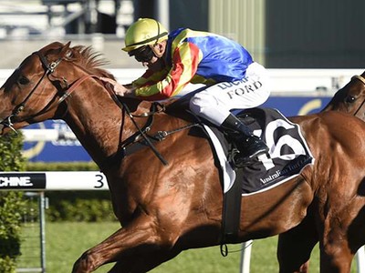 Preview: Gr.1 Stradbroke Handicap Image 4