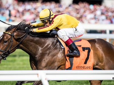 Royal Ascot Beckons Lady Aurelia Image 1