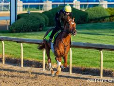 Juddmonte Hopes To Reprise Role of Spoiler With Hofburg Image 2