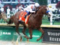 Justify Arrives at Belmont Park In Style