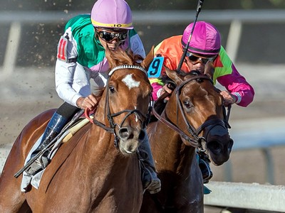 Preview: Gr.1 Belmont Stakes 2018 Image 3