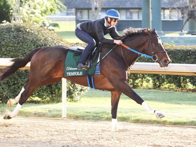 Preview: Gr.1 Belmont Stakes 2018 Image 6