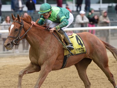 Preview: Gr.1 Ogden Phipps Stakes 2018 Image 5